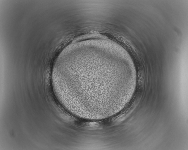 X0000110870509200907021439