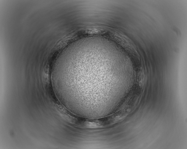 X0000110870510200907021439