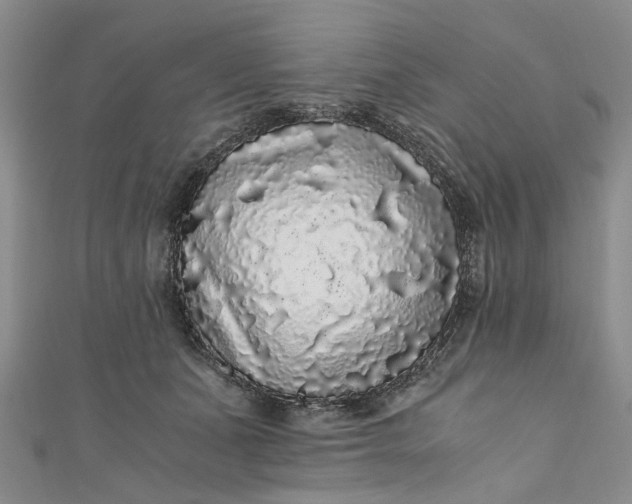 X0000110870511200907021439