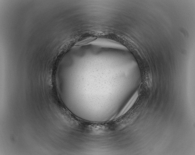 X0000110870512200907021439