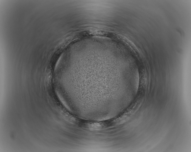 X0000110870513200907021439