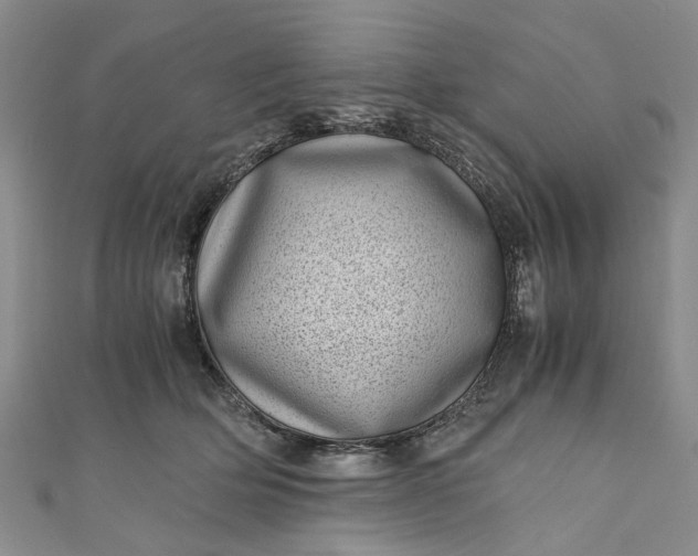 X0000110870514200907021439