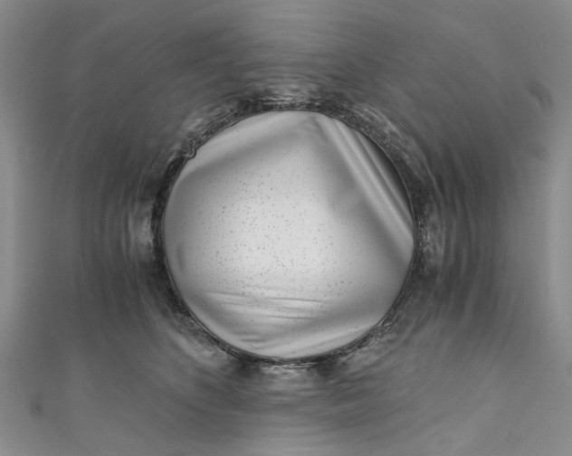 X0000110870516200907021439