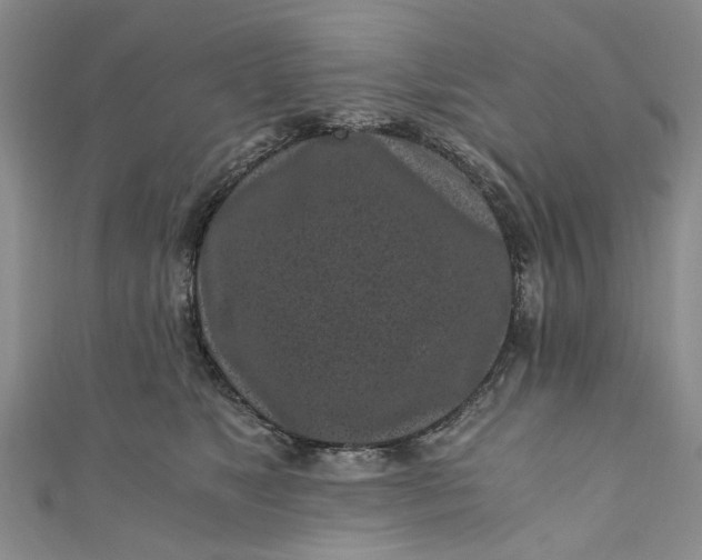 X0000110870517200907021439