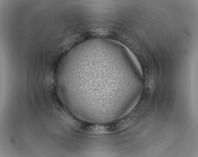 X0000110870518200907021439