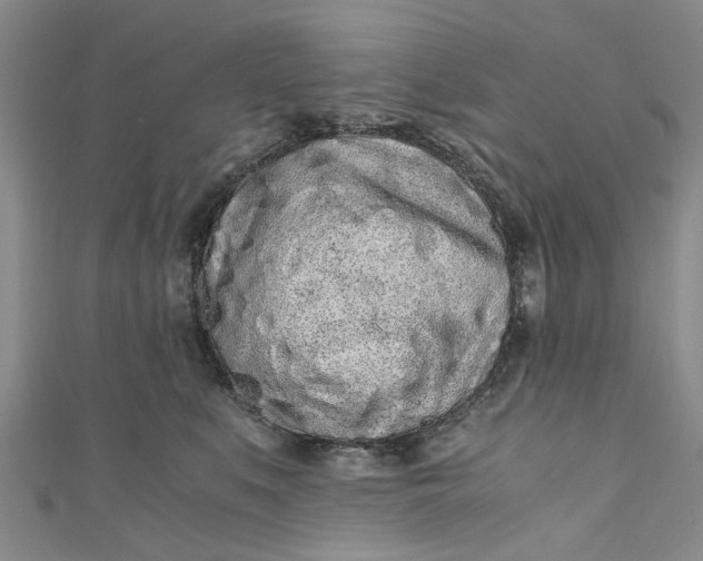 X0000110870519200907021439