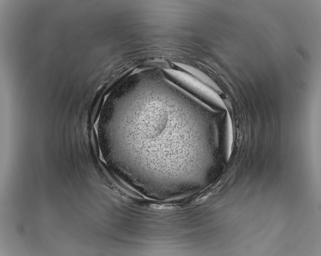 X0000110870520200907021439