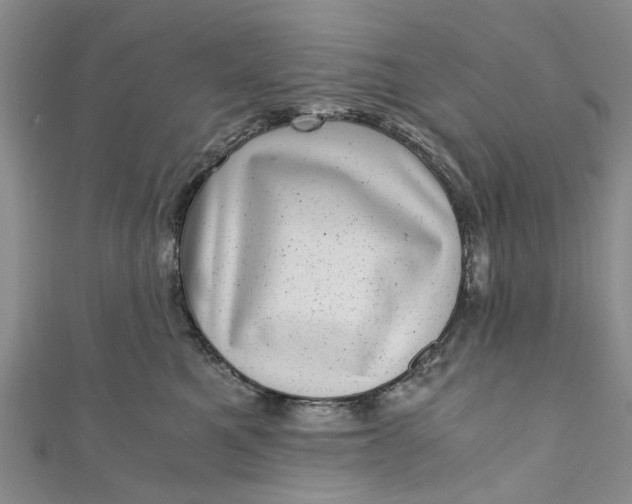 X0000110870521200907021439