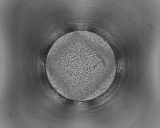 X0000110870522200907021439