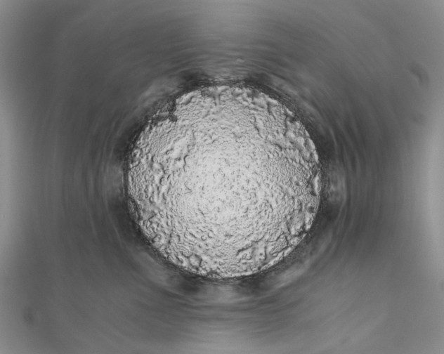 X0000110870523200907021439