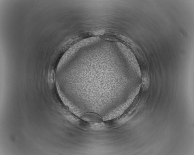 X0000110870525200907021439