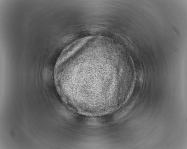 X0000110870527200907021439