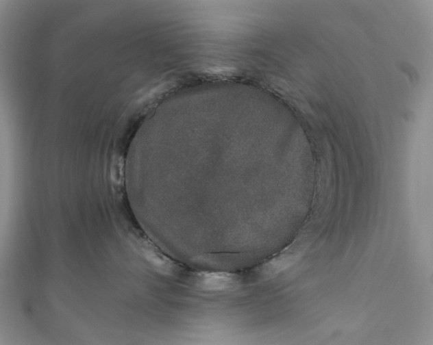 X0000110870528200907021439