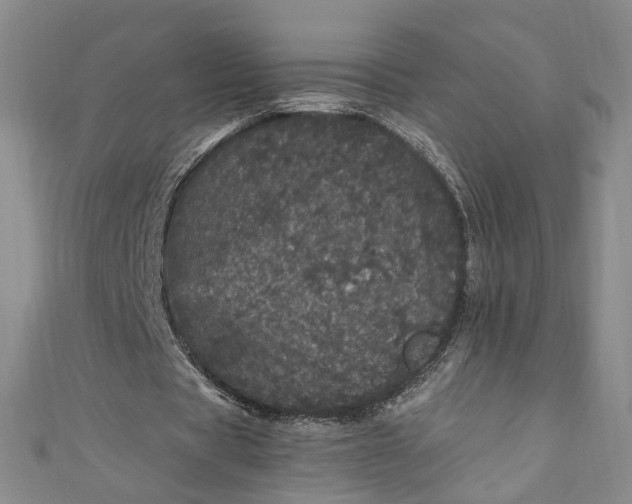 X0000110870529200907021438