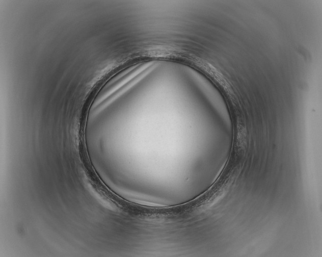 X0000110870530200907021438