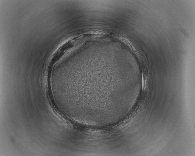 X0000110870531200907021438