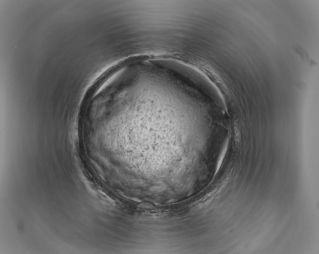 X0000110870532200907021438