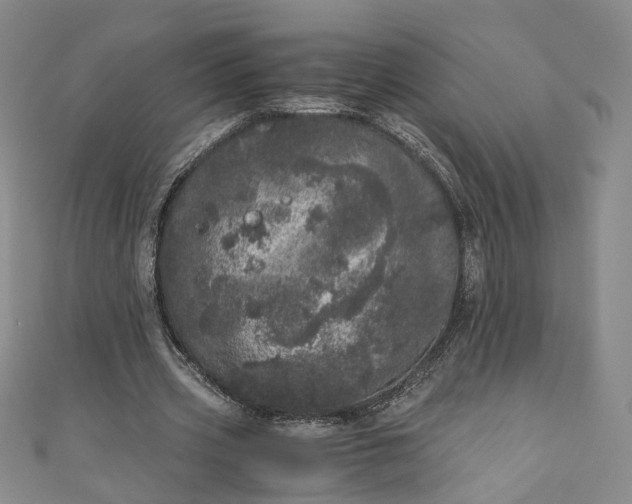 X0000110870533200907021438