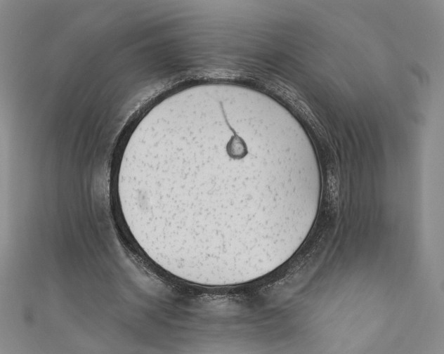 X0000110870534200907021438