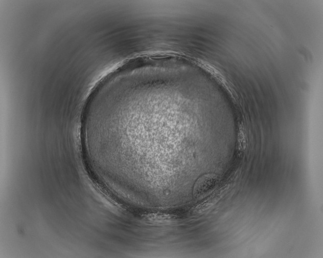 X0000110870535200907021438