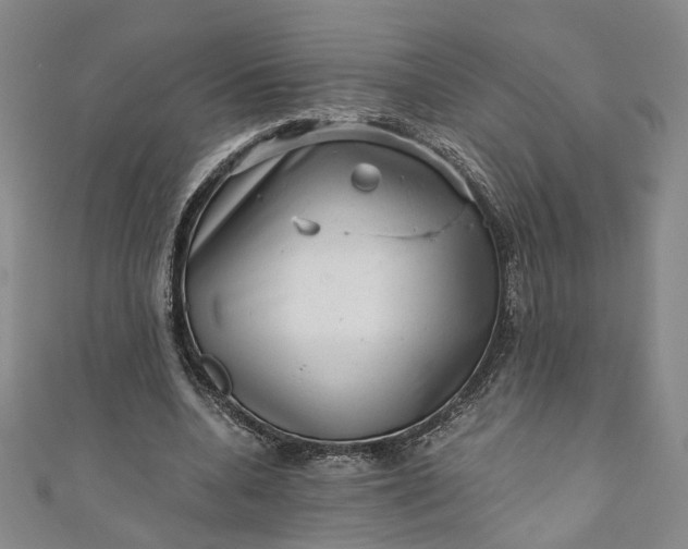 X0000110870536200907021438