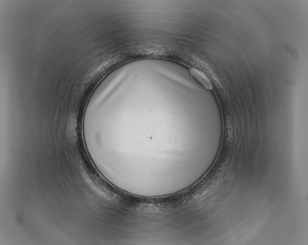 X0000110870538200907021438