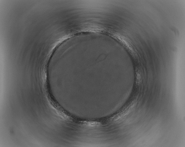 X0000110870539200907021438