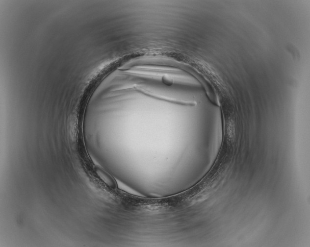 X0000110870540200907021438