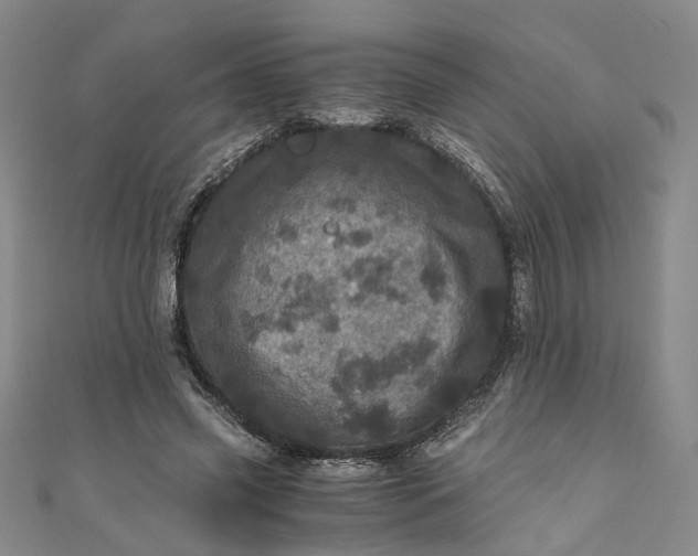 X0000110870541200907021438