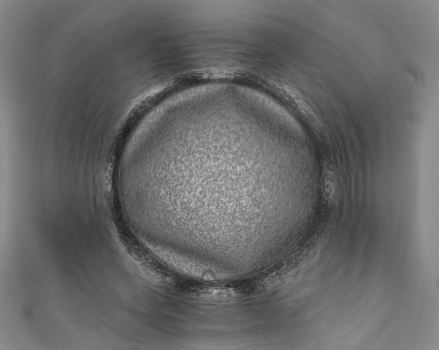 X0000110870543200907021438