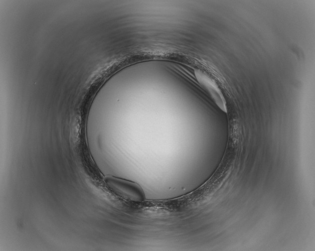 X0000110870544200907021438