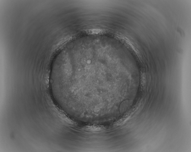 X0000110870545200907021438