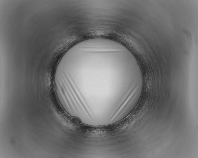 X0000110870546200907021438