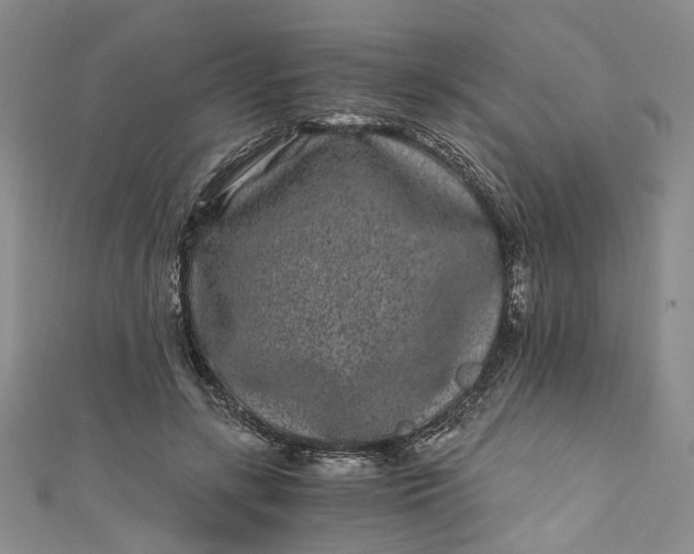 X0000110870547200907021438