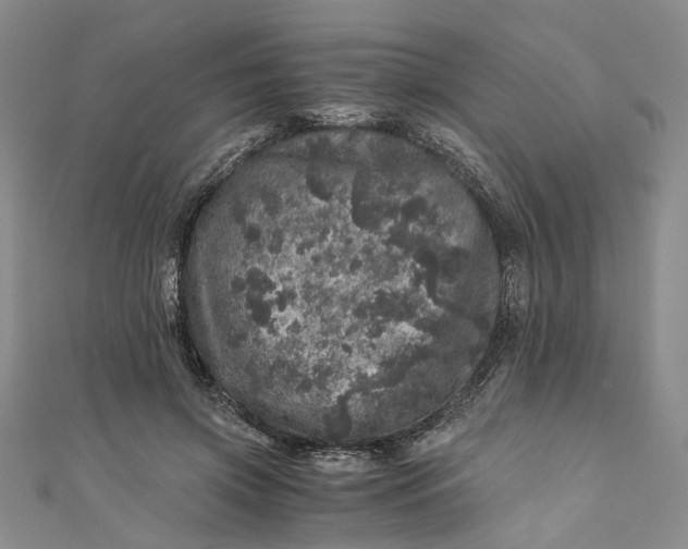 X0000110870549200907021438