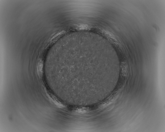 X0000110870550200907021439