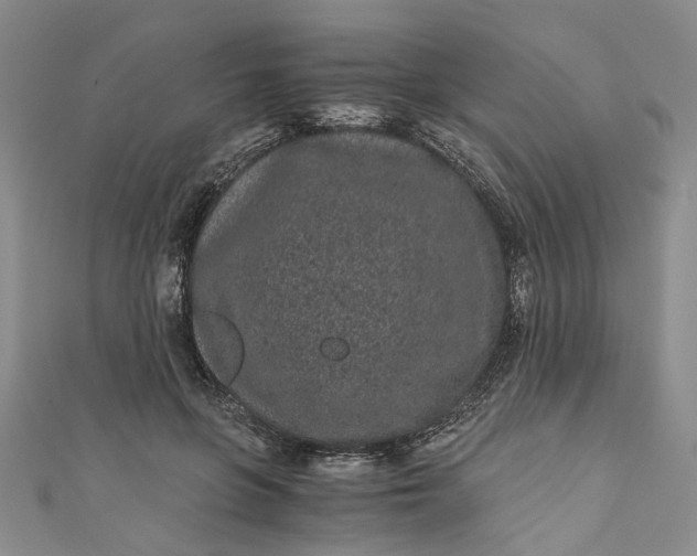 X0000110870551200907021439