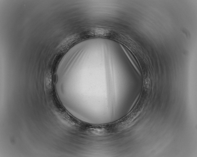 X0000110870552200907021439