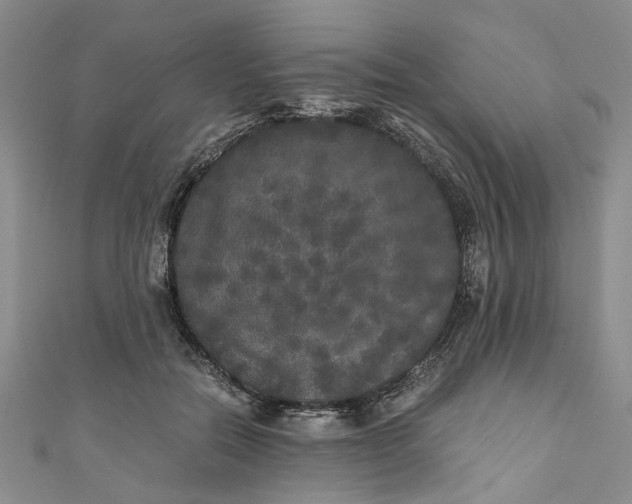 X0000110870554200907021439