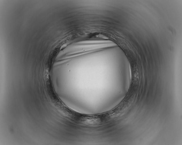 X0000110870555200907021439