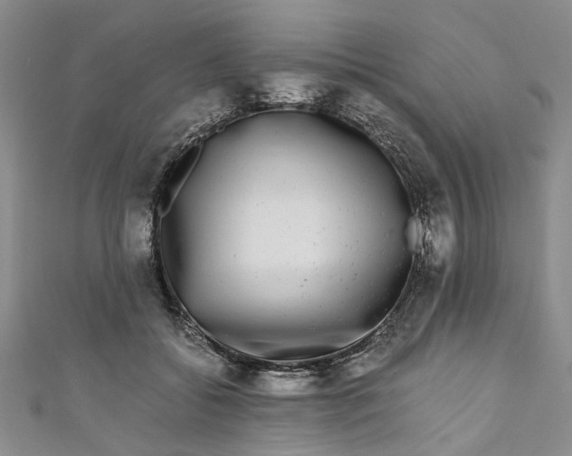 X0000110870556200907021439