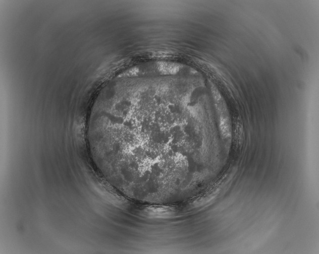 X0000110870557200907021439