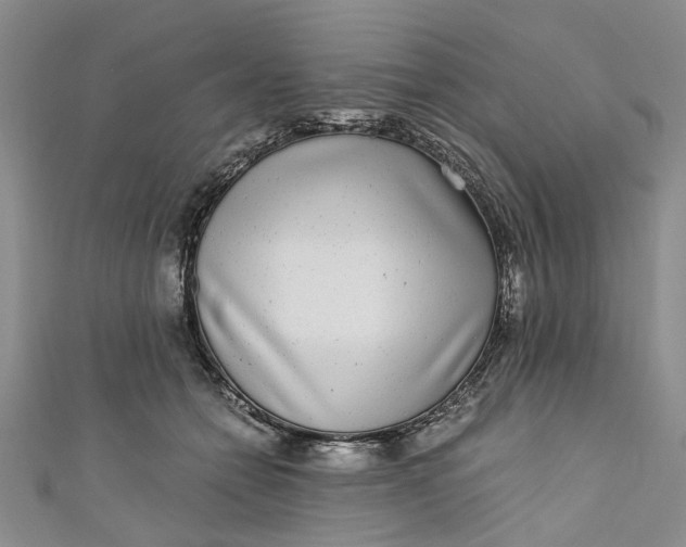 X0000110870558200907021439