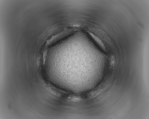 X0000110870559200907021439