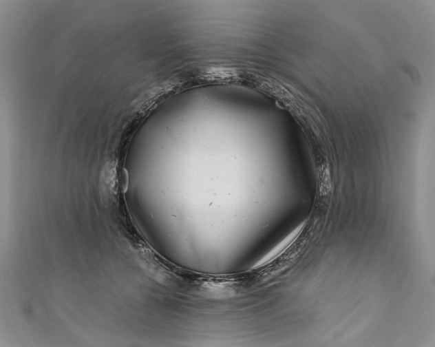 X0000110870560200907021439