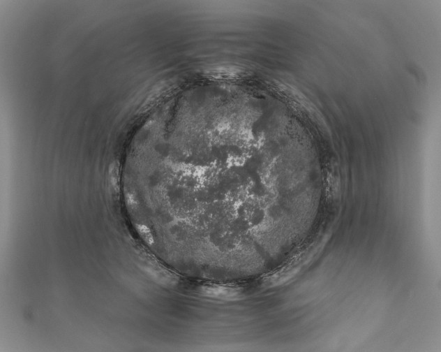 X0000110870561200907021439