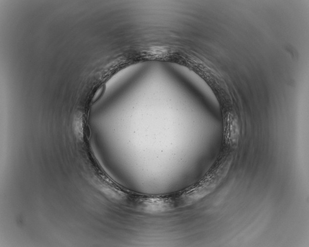 X0000110870562200907021439