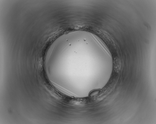 X0000110870563200907021439