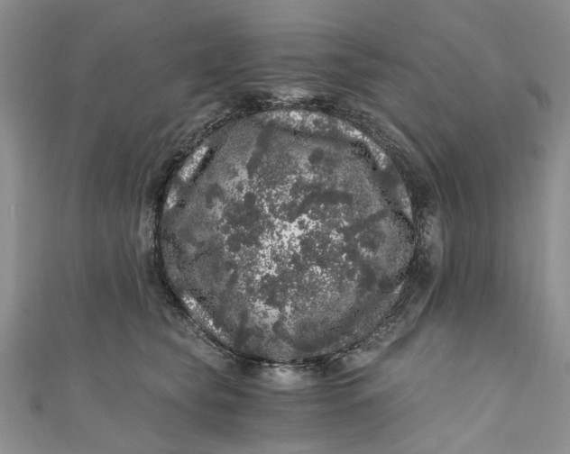 X0000110870565200907021439