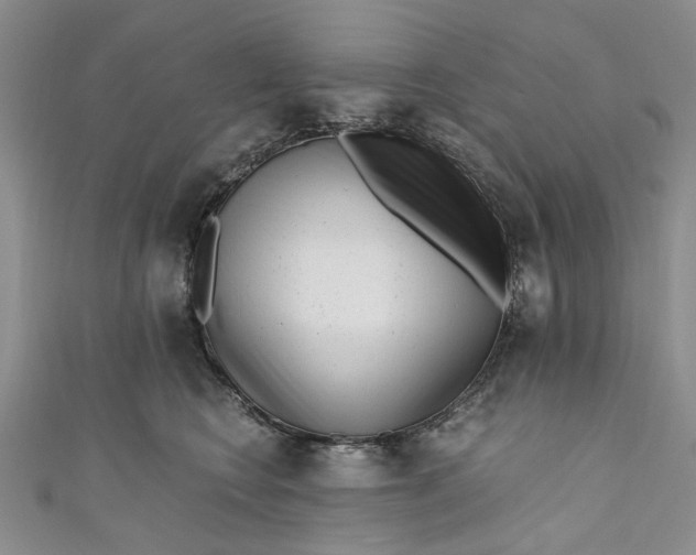 X0000110870566200907021439